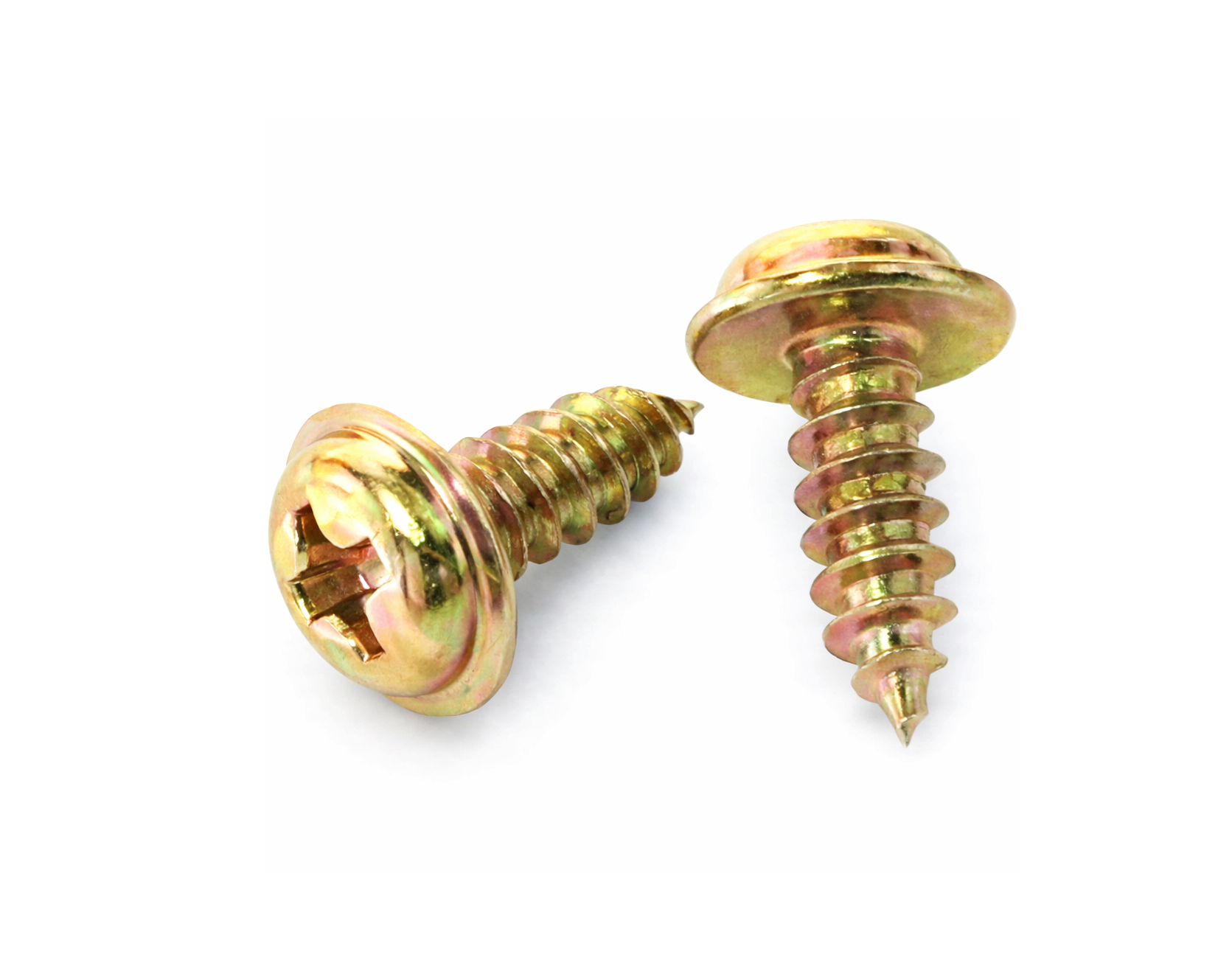 피형와샤붙이1종 [천연색]